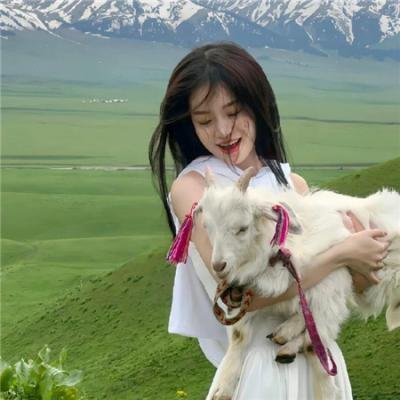落花时节又逢君 在线观看封面