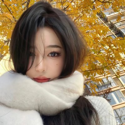 命运小说家 在线观看封面