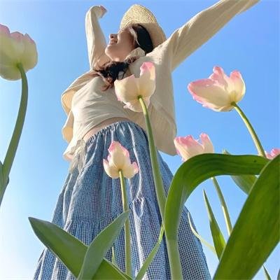白雪公主杀人事件 在线观看封面